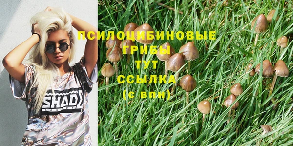 синтетический гашиш Абдулино