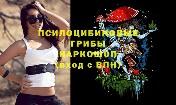 винт Абинск
