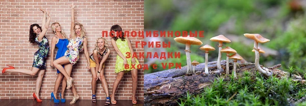 винт Абинск