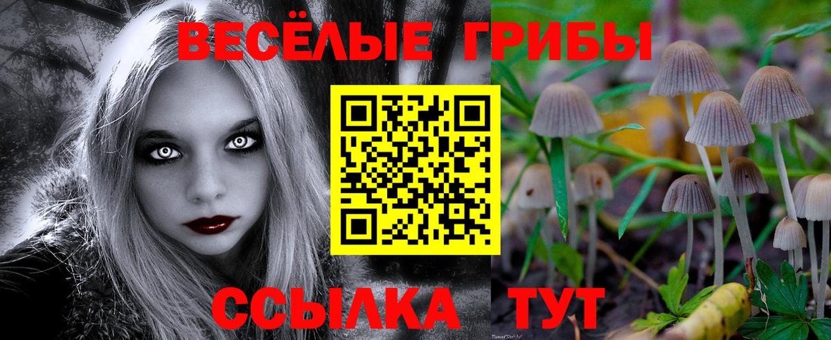 Шебекино  Псилоцибиновые грибы мухоморы  Вход с VPN  Псилоцибиновые грибы прущие грибы 