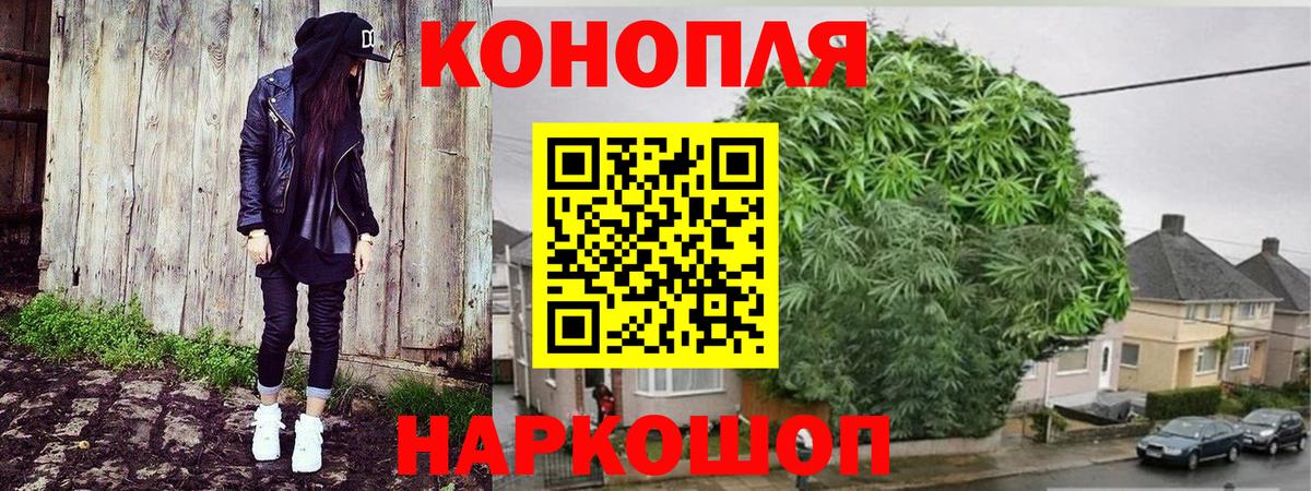 Бошки Шишки AK-47  Вход с VPN  Шебекино  Бошки марихуана ГИДРОПОН 